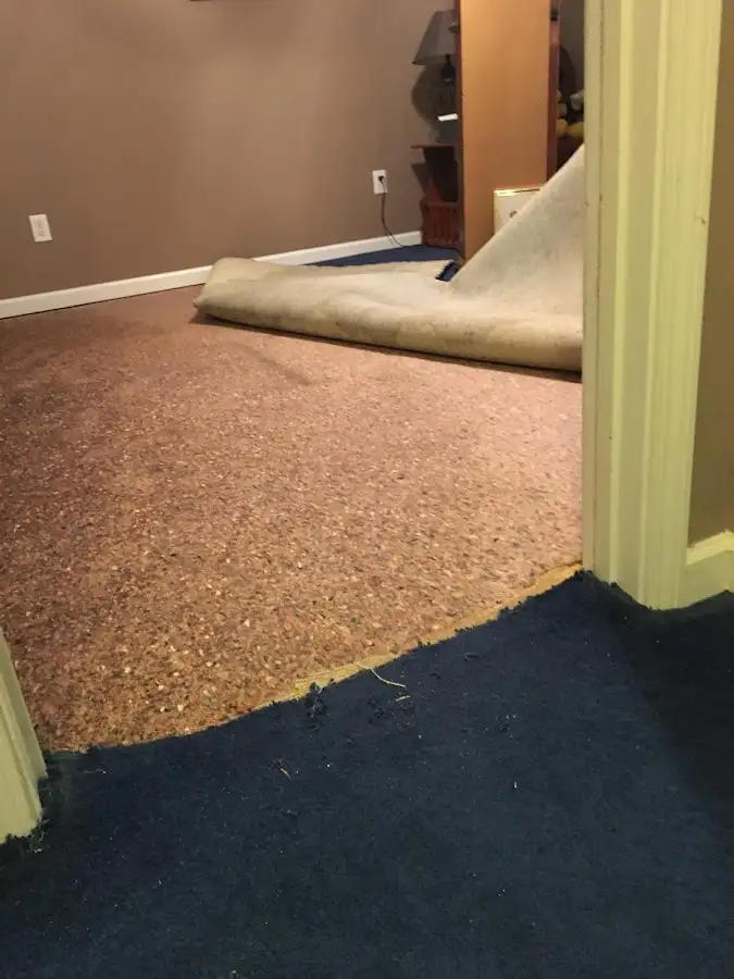 Carpet pad removal revealing water damage during Water Mitigation Services in Northglenn